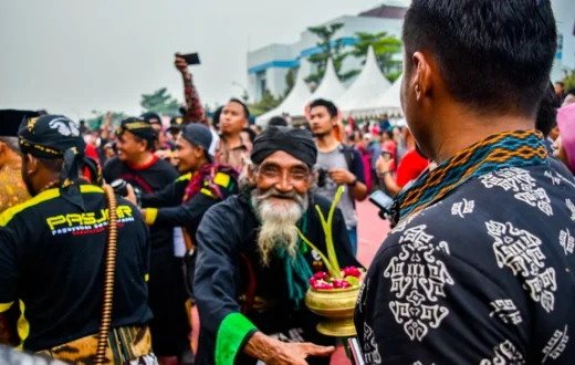 Indukan jantan murai batu berkualitas untuk ternak