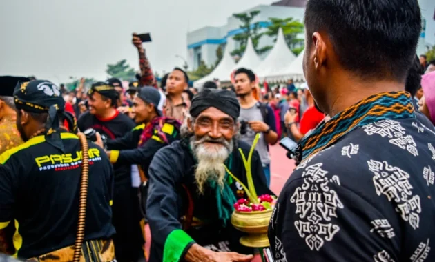 Indukan jantan murai batu berkualitas untuk ternak