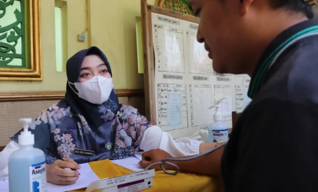 Indukan betina kacer siap kawin dan subur